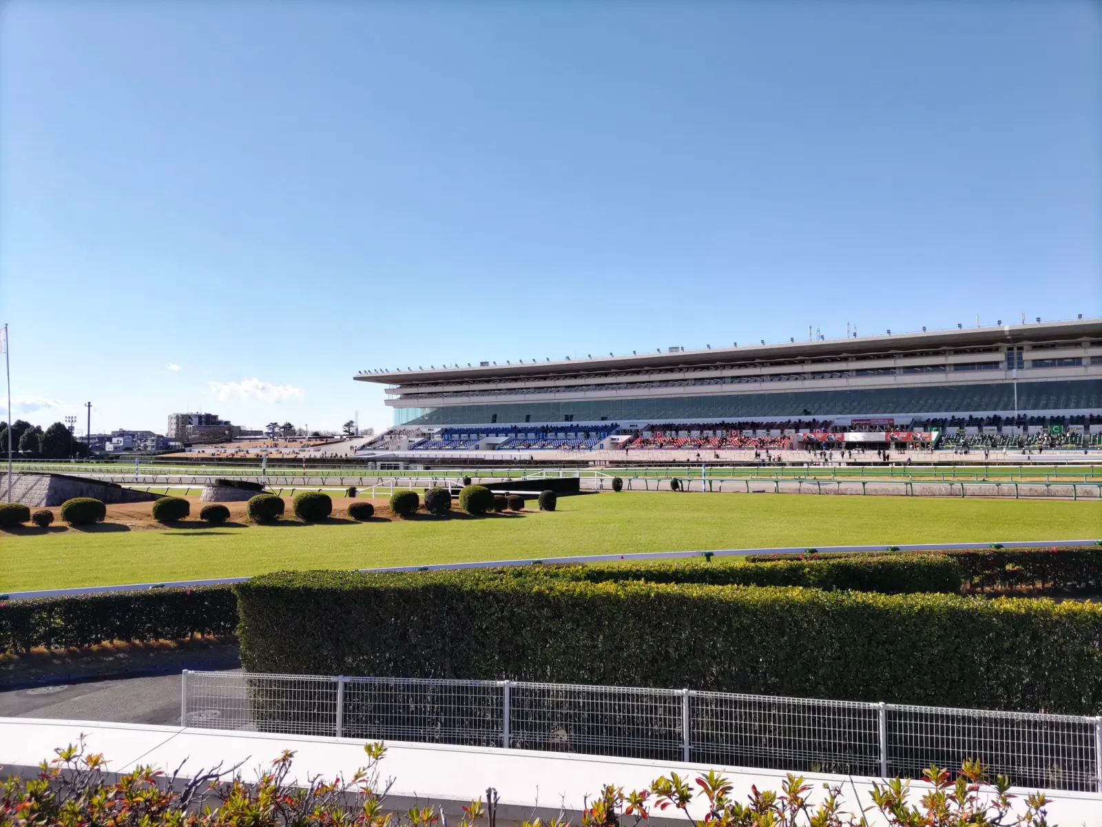 中山競馬場の指定席があるメインスタンド